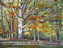 white light on tree at T C Steele home
